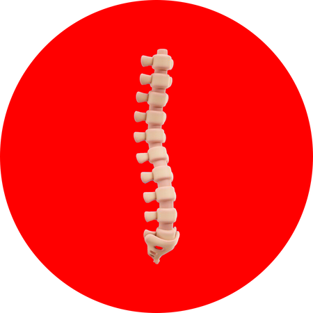 Ortopedia